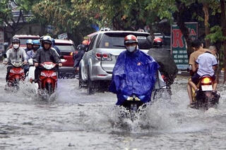<a href="/moi-truong" title="Môi trường" rel="dofollow">Môi trường</a>