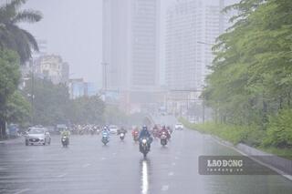 <a href="/moi-truong" title="Môi trường" rel="dofollow">Môi trường</a>