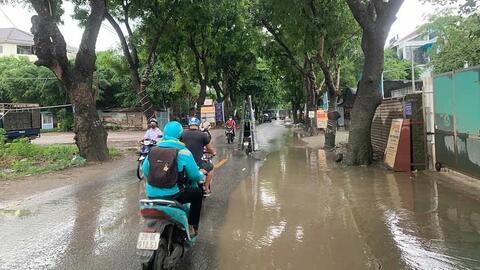 Đến với bài thơ hay: Khi cái đẹp thánh thiện bay lên