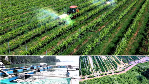 Phát triển nông nghiệp: ưu tiên nâng cao hiệu quả thay vì mở rộng quy mô