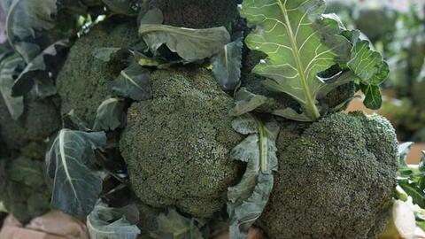 Cách chế biến bông cải xanh giúp giữ tối đa chất chống oxy hóa