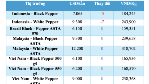 Giá tiêu hôm nay 15/4/2026: Tăng nhẹ cục bộ