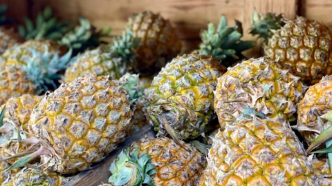 Giá nông sản hôm nay 16/4/2026: Nhiều mặt hàng biến động mạnh