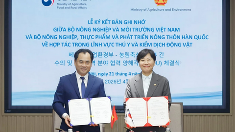 Việt Nam - Hàn Quốc thống nhất mở cửa thị trường với sản phẩm thịt gà chế biến