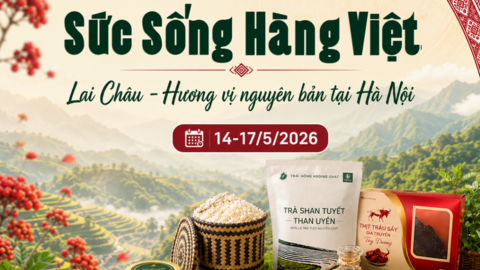 Khám phá đặc sản Lai Châu tại phố hàng hiệu Tràng Tiền