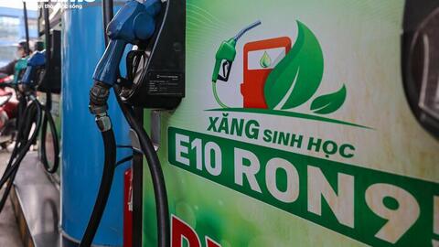 Xăng sinh học E10 có thực sự 'kén' xe như lo ngại?