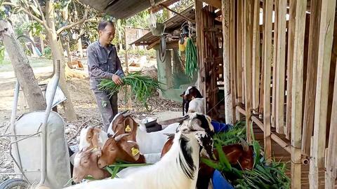 Tạo sinh kế bền vững, mở đường thoát nghèo cho đồng bào vùng cao Tuyên Quang