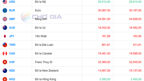 Tỷ giá USD hôm nay 23/6/2026: Vì sao đồng bạc xanh vẫn neo cao?