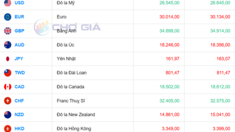 Tỷ giá USD hôm nay 24/6/2026: USD chợ đen đảo chiều, DXY lên đỉnh năm