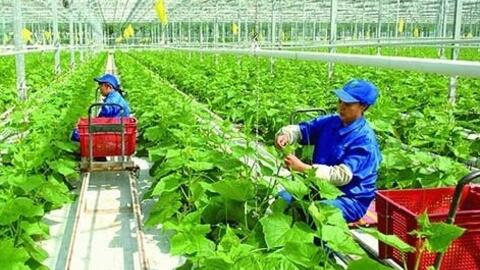 Phân bổ vốn đầu tư công trung hạn gắn với mục tiêu tăng trưởng kinh tế 2 con số