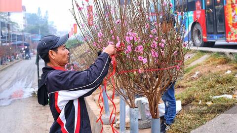 Đề xuất Tết Nguyên đán 2027 nghỉ 7 ngày nhận thêm ý kiến