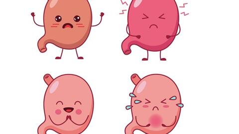 Bác sĩ chỉ ra đau ngực tưởng bệnh tim, hóa ra là trào ngược dạ dày