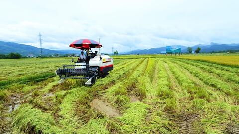 Giải ngân chương trình mục tiêu quốc gia: Tăng tốc đưa nguồn lực vào thực tiễn