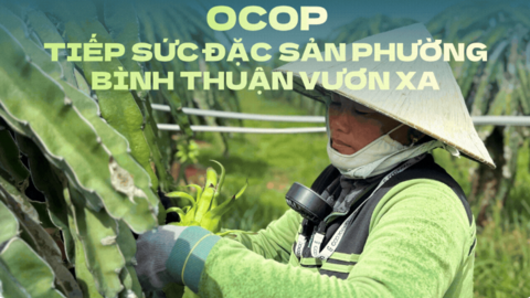 OCOP tiếp sức đặc sản phường Bình Thuận vươn xa