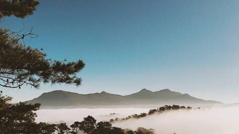 Đà Lạt: Ba anh em thu tiền trái phép của du khách