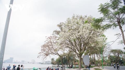 Dự báo thời tiết ngày 21/3: Bắc Bộ trời nắng, trong ngày có mưa vài nơi