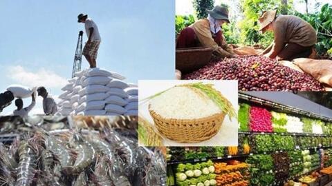 Xuất khẩu nông, lâm, thủy sản đạt hơn 29 tỷ USD trong 7 tháng