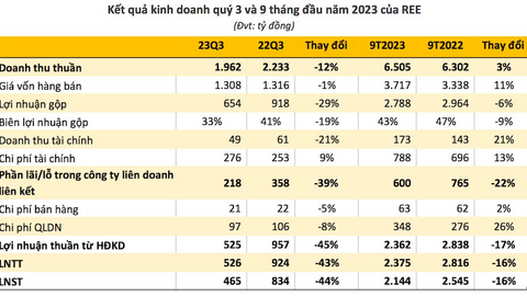 Thuỷ điện khó khăn, Cơ điện lạnh (REE) báo lãi thấp nhất 8 quý