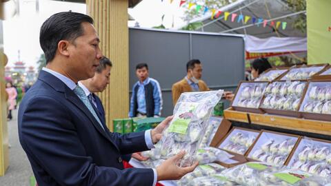 Sức sống mới của ngành Nông nghiệp huyện Mê Linh