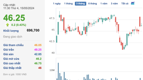 Cổ đông Vingroup bán bao nhiêu cổ phiếu VIC mới đủ sở hữu một chiếc VinFast VF 3?