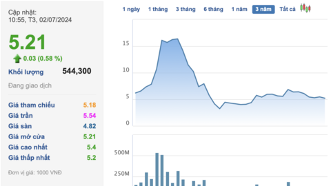 Cổ đông mua cổ phiếu lỗ nặng, Chủ tịch ITA Đặng Thị Hoàng Yến nói "đang nỗ lực hết sức để cổ phiếu tăng trần trở lại"