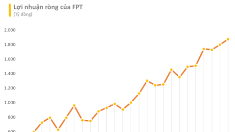 FPT báo lãi ròng quý 2 tăng trưởng 24%, doanh thu vượt mức 1 tỷ USD sau 6 tháng
