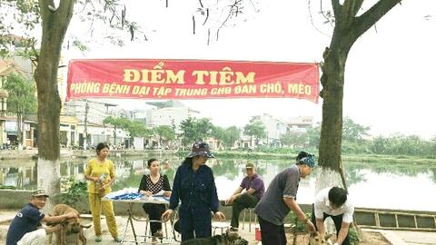 Ghi nhận trường hợp thứ 12 bị chó dại cắn