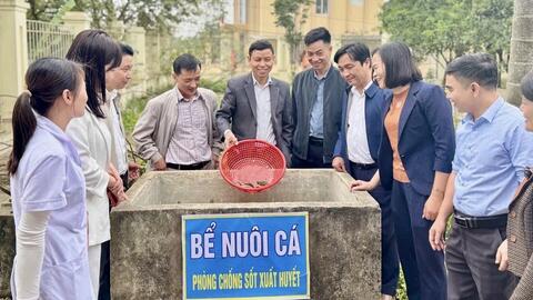 Hạn chế tối đa các trường hợp tử vong do sốt xuất huyết