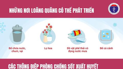 Bộ Y tế khuyến cáo người dân chủ động phòng, chống sốt xuất huyết