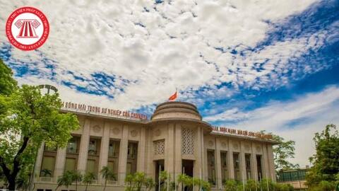 Trung tâm Thông tin tín dụng Quốc gia Việt nam có những sản phẩm tín dụng nào?