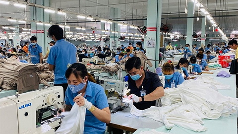 Vinatex Đà Nẵng sắp chi cổ tức 2,000 đồng/cp