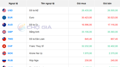 Tỷ giá USD hôm nay 13/08/2025: Đồng USD khởi sắc