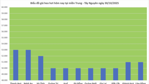 Giá heo hơi hôm nay 30/10/2025:  Giảm nhẹ tại miền Trung