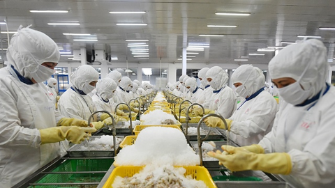 Thị trường vào mùa vàng doanh nghiệp bội thu tỷ USD