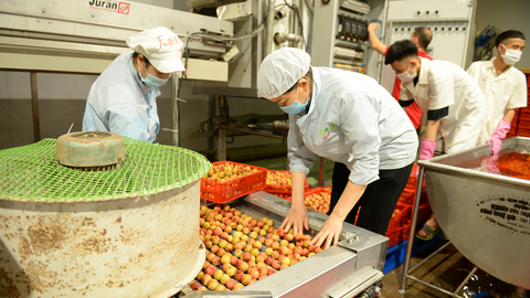 Bắc Ninh cân bằng hệ sinh thái sản xuất từ cụm công nghiệp