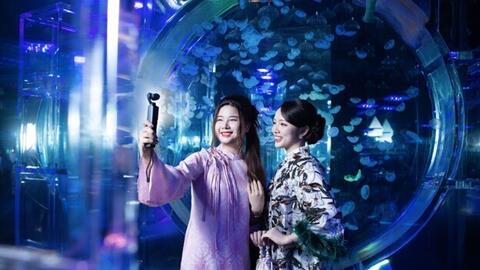 'Đại dương thu nhỏ' giữa lòng Thủ đô