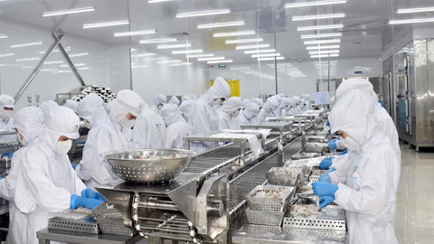 Cà Mau tăng tốc trở thành trung tâm chế biến nông - thủy sản quy mô lớn