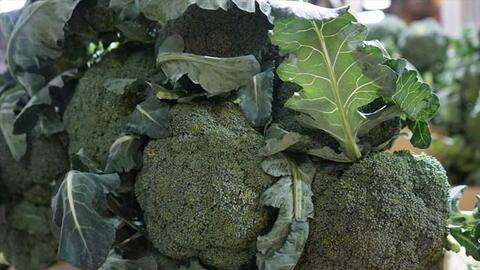 Cách chế biến bông cải xanh giúp giữ tối đa chất chống oxy hóa