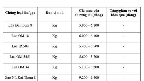 Giá lúa gạo hôm nay ngày 29/4: Gạo thường giảm 1.000 đồng/kg