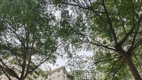 Thị trường căn hộ chung cư quý I/2026: Lệch cung, căn hộ hạng A áp đảo