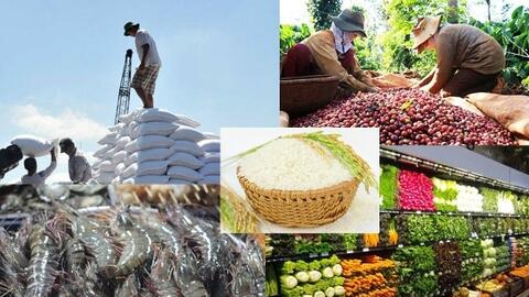 Xuất khẩu nông sản đối mặt áp lực mới từ thị trường và rào cản xanh