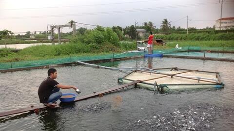TP. Cần Thơ phát triển nuôi trồng thủy sản bền vững
