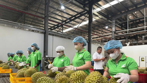 Nông sản Việt trước sức ép đổi chuẩn xuất khẩu