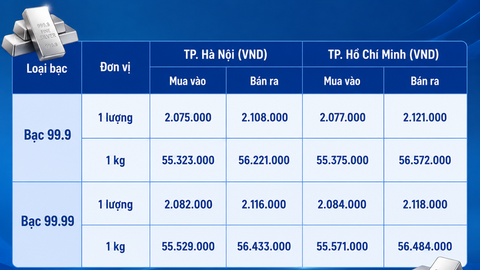 Giá bạc hôm nay 11/8/2026: Bạc chịu nhiều sức ép