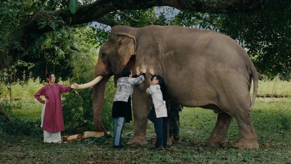 Phân cảnh “thầy bói xem voi” lấy bối cảnh xã Đắk Liêng trong MV. Ảnh cắt từ MV