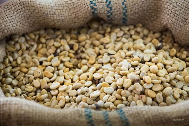 Giá cà phê Arabica tăng gần 2% lên mức 7.657 USD/tấn trong khi giá cà phê Robusta tăng hơn 2,3% lên mức 3.866 USD/tấn. Ảnh minh hoạ