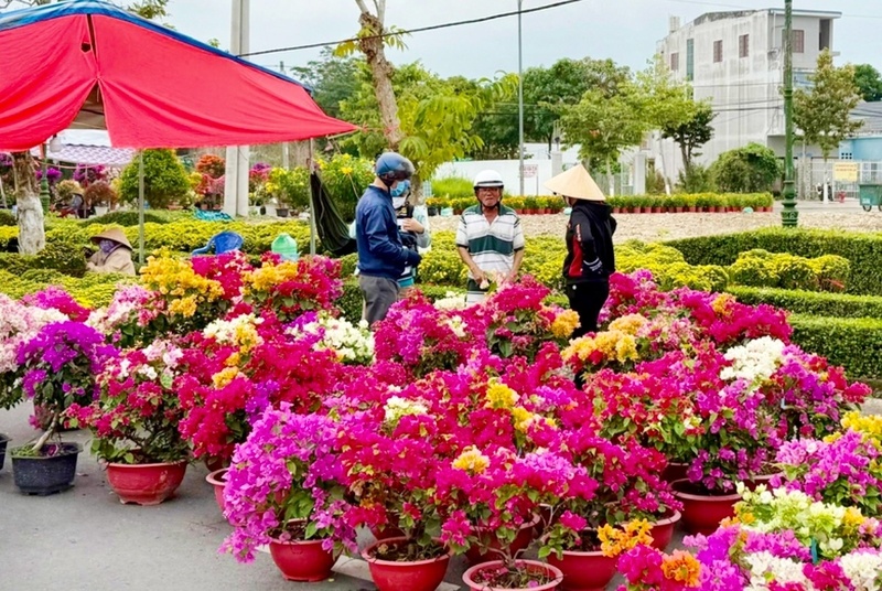 Chợ hoa quy tụ nguồn hàng từ nhiều vùng trồng nổi tiếng được đưa hàng ra trưng bày