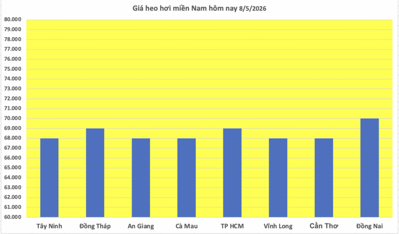 Giá heo hơi hôm nay 8/5/2026: Tăng diện rộng tại miền Bắc, miền Trung - 3