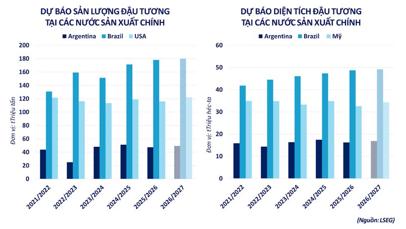 Dự báo sản lượng/diện tích đậu tương tại các nước sản xuất chính. Nguồn: MXV