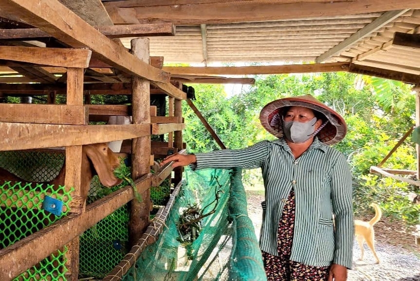 Đồng Tháp đặt mục tiêu không còn hộ nghèo vào năm 2029 Đồng Tháp đặt mục tiêu không còn hộ nghèo vào năm 2029